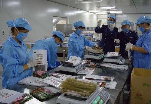 安全质检丨以法律为基石，筑牢质量安全防线